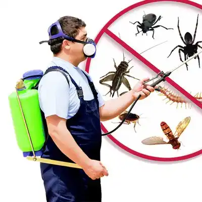 pest control Tonopah